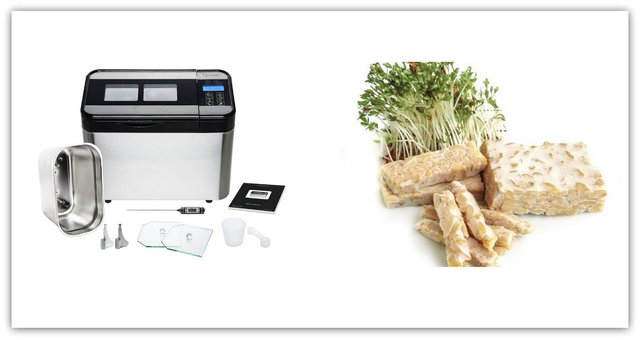 tempeh - dom%C3%A1c%C3%AD pek%C3%A1rna Sana tempeh - dom%C3%A1c%C3%AD pek%C3%A1rna Sana